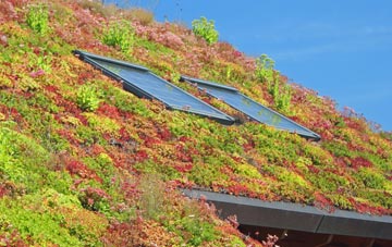 Baythorpe living roof systems